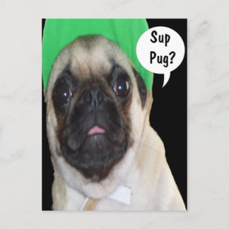 Sup Pug? Postcard