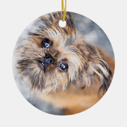 Sup Pup Rup Brussels Griffon Ornament