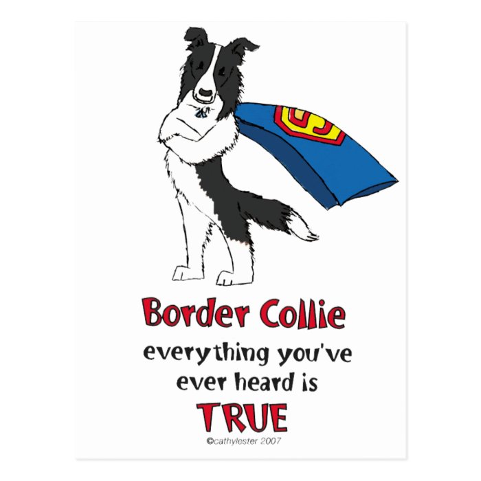 Super Border Collie Black Postcards