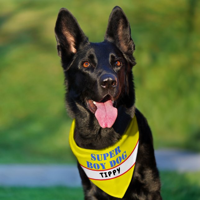Super Boy Dog Name Yellow Royal Blue Pet Bandana Collar (Dog)