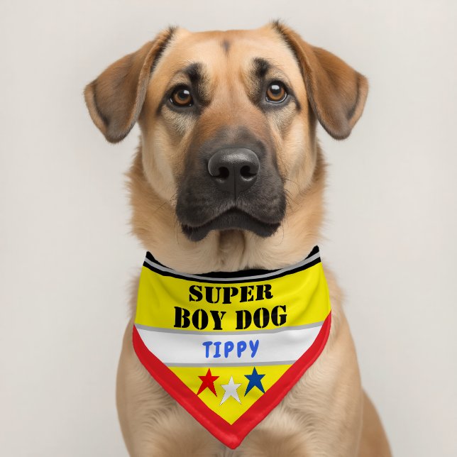 Super Boy Dog Stars Yellow Blue Name Pet Bandana Collar (Dog 2)
