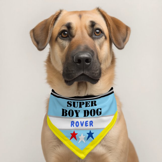 Super Boy Dog Stars Yellow Blue Name Pet Bandana Collar (Dog 2)