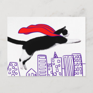 Best Cute Fat Cartoon Kitty Cat Gift Ideas | Zazzle Best Cute Fat Cartoon Kitty Cat Gift Ideas | Zazzle