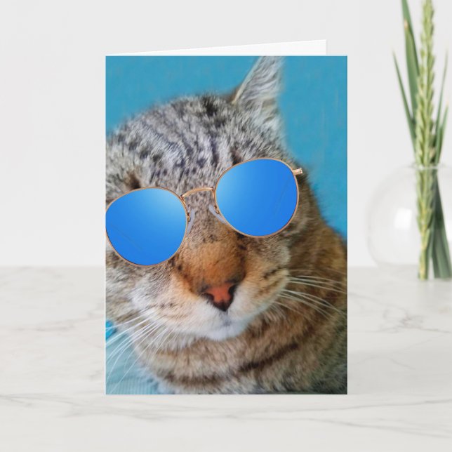 Super Cool Cat Birthday Card (Front)