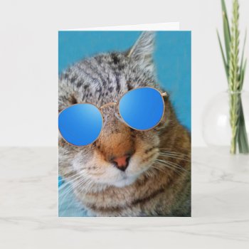Super Cool Cat Birthday Card by Therupieshop at Zazzle