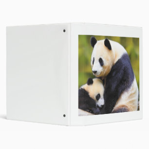 Super Cool Wildlife Binder