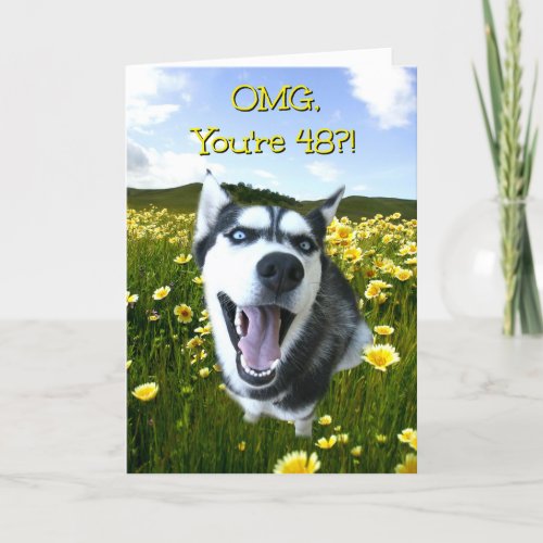 Super Cute and Funny Dog Happy 48th Birthday Card