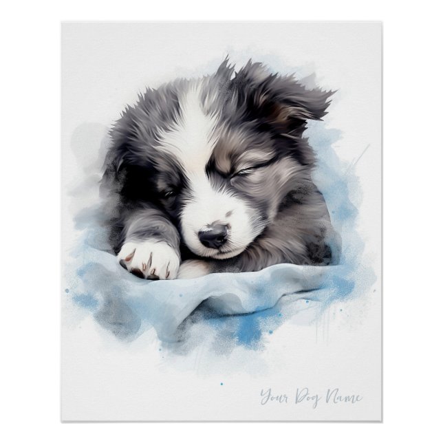 Super cute angel sleeping puppy Border Collie dog  Poster (Front)