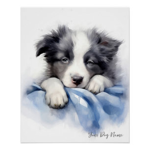 Super cute angel sleeping puppy Border Collie dog Poster