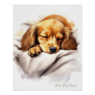 Super cute angel sleeping puppy Dachshund Dog 001 Poster