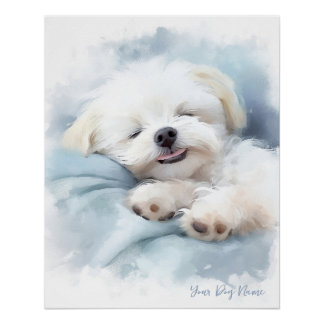 Super cute angel sleeping puppy Maltese Dog 001 Poster