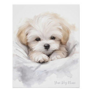 Super cute angel sleeping puppy Maltese Dog 005 Poster