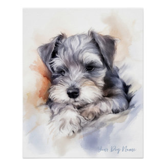 Super cute angel sleeping puppy Schnauzer Dog 003 Poster