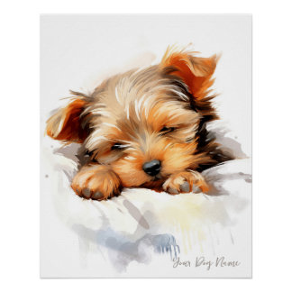 Super cute angel sleeping puppy Yorkshire Terrier Poster