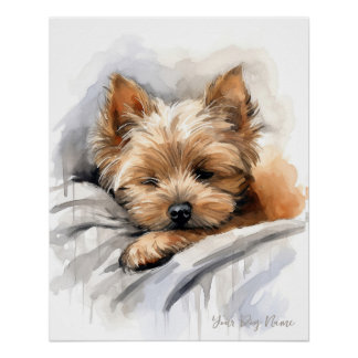 Super cute angel sleeping puppy Yorkshire Terrier Poster