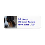 Super Cute Australian Shepherd Label