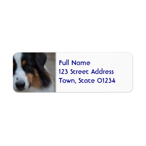 Super Cute Australian Shepherd Label
