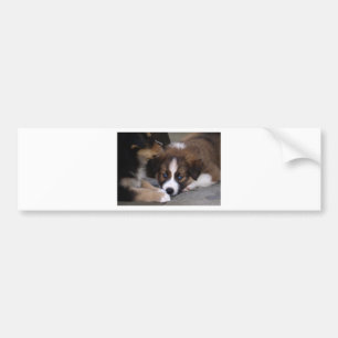 Super Cute Australian Shepherd Puppy Bumper Sticker