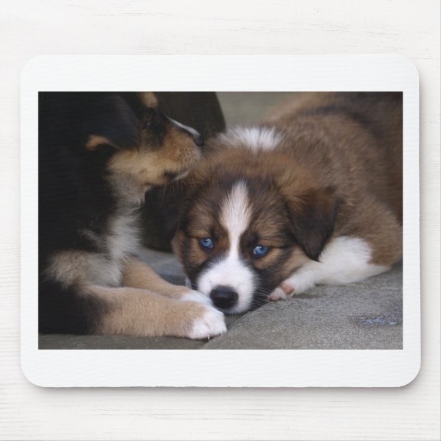 Super Cute Australian Shepherd Puppy Mouse Pad (Front)