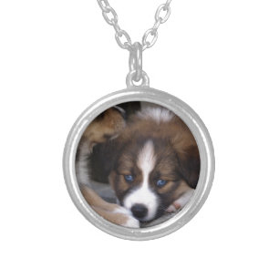 Super Cute Australian Shepherd Puppy Silver Plated Necklace