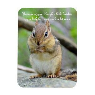 Super Cute Chipmunk Friendship Quote Magnet