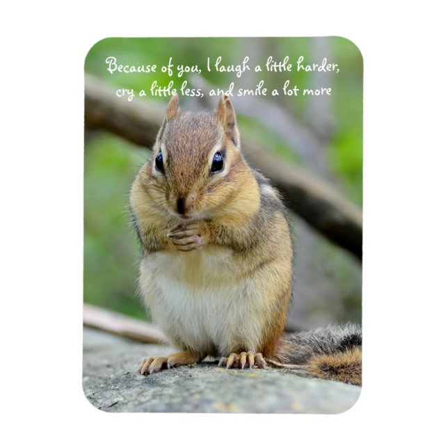 Super Cute Chipmunk Friendship Quote Magnet (Vertical)