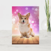 Super Cute Corgi Birthday