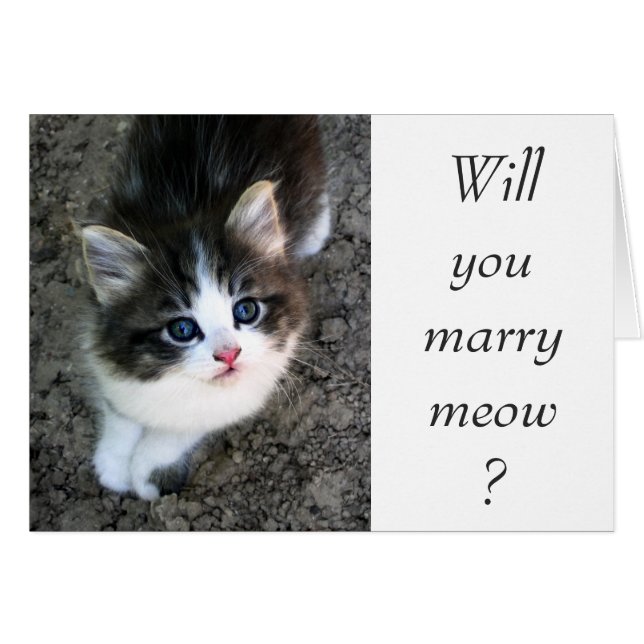 SUPER CUTE Customizable Wedding Proposal Cards (Front Horizontal)