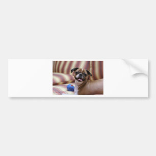 Super Cute dog with her favorite ball Bumper Sticker