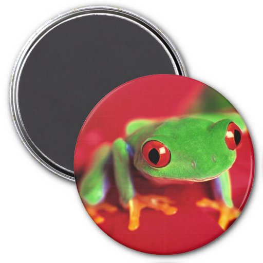 super cute frog magnet | Zazzle