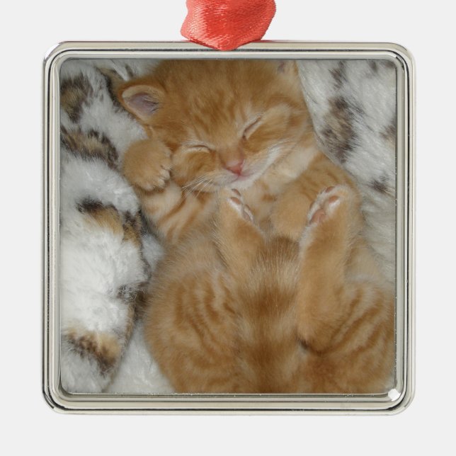 Super Cute Ginger Sleeping Kitten Metal Ornament (Front)
