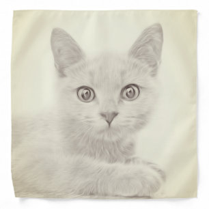 SUPER CUTE Kitten Cat Portrait Bandana