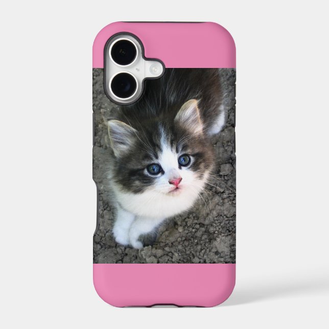 SUPER CUTE Kitten Customizable Iphone Case (Back)