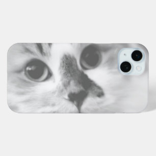 SUPER CUTE Kitten Portrait Photograph iPhone 15 Plus Case