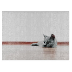 SUPER CUTE Kitten Portrait Photograph Cutting Board