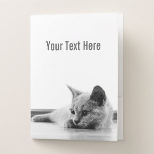 SUPER CUTE Kitten Portrait Photograph Pocket Folder