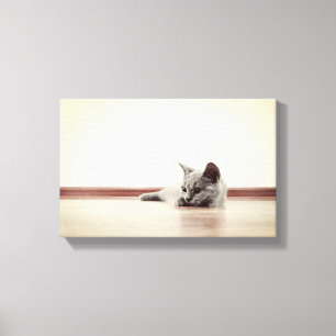 SUPER CUTE Kitten Portrait - Vintage Style Canvas Print