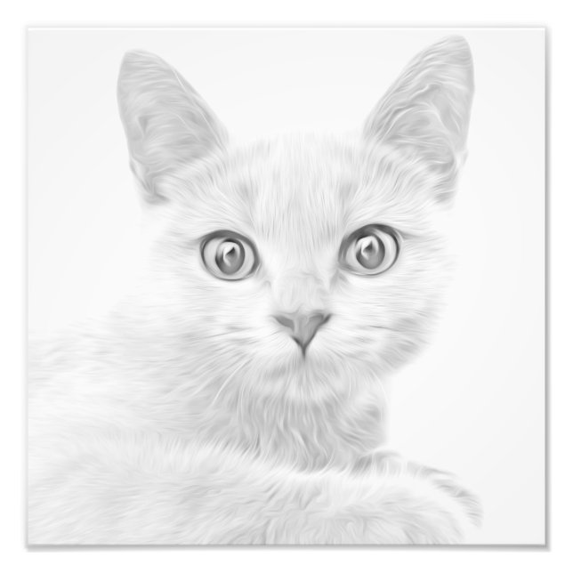 SUPER CUTE Kitty Portrait Photo Print (Front)