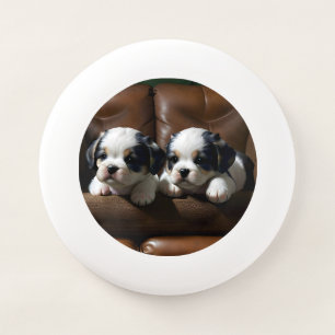 Super Cute Puppies on the Couch 1 Wham-O Frisbee