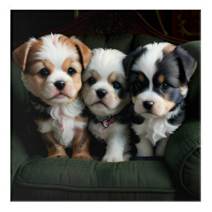 Super Cute Puppies on the Couch 2 Acrylic Print
