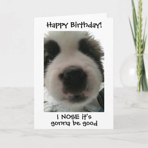 Super Cute Puppy I Nose its Your Birthday Custom