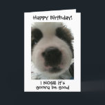 Super Cute Puppy I Nose its Your Birthday Custom Card<br><div class="desc">Go ahead and give them a birthday card they won't soon forget. This one-of-a-kind card has a picture of an adorable 8 weeks old Saint Bernard with the words, "Happy Birthday! I NOSE it's gonna be good" on the front, and the words, "cause you're as Paw-some as me!". Click "personalize...</div>