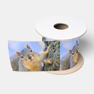 Super cute satin ribbon