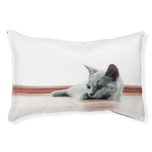 Super Cute Scottish Fold Kitten Cat Pet Bed