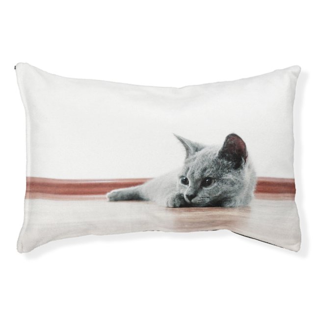 Super Cute Scottish Fold Kitten Cat Pet Bed (Front)