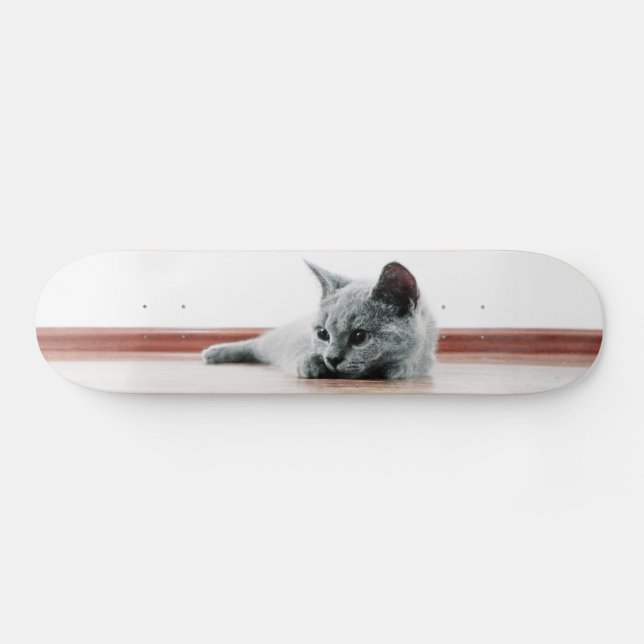 Super Cute Scottish Fold Kitten Cat Skateboard Deck (Horz)