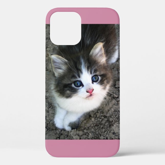SUPER CUTE Stray Kitten Case-Mate iPhone Case (Back)