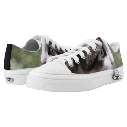 Super Cute Swag Kitty Kitty Low Top Shoes