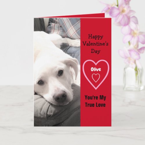 Super Cute Valentines Day White Puppy Dog Red Card