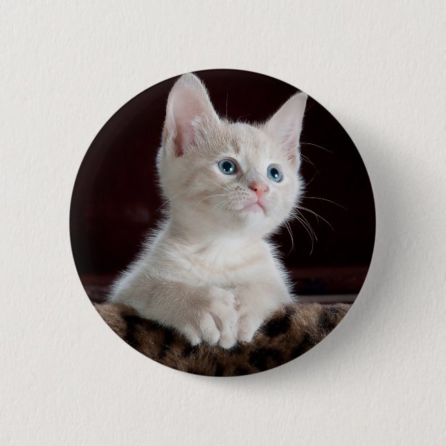 Super Cute White Kitten Button (Front)